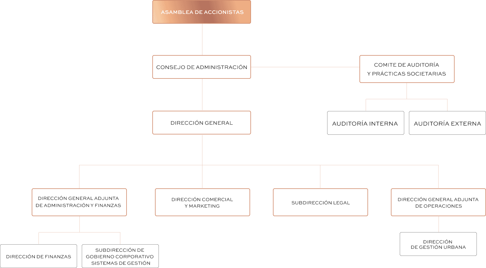 Estructura operativa de Gobierno Corporativo